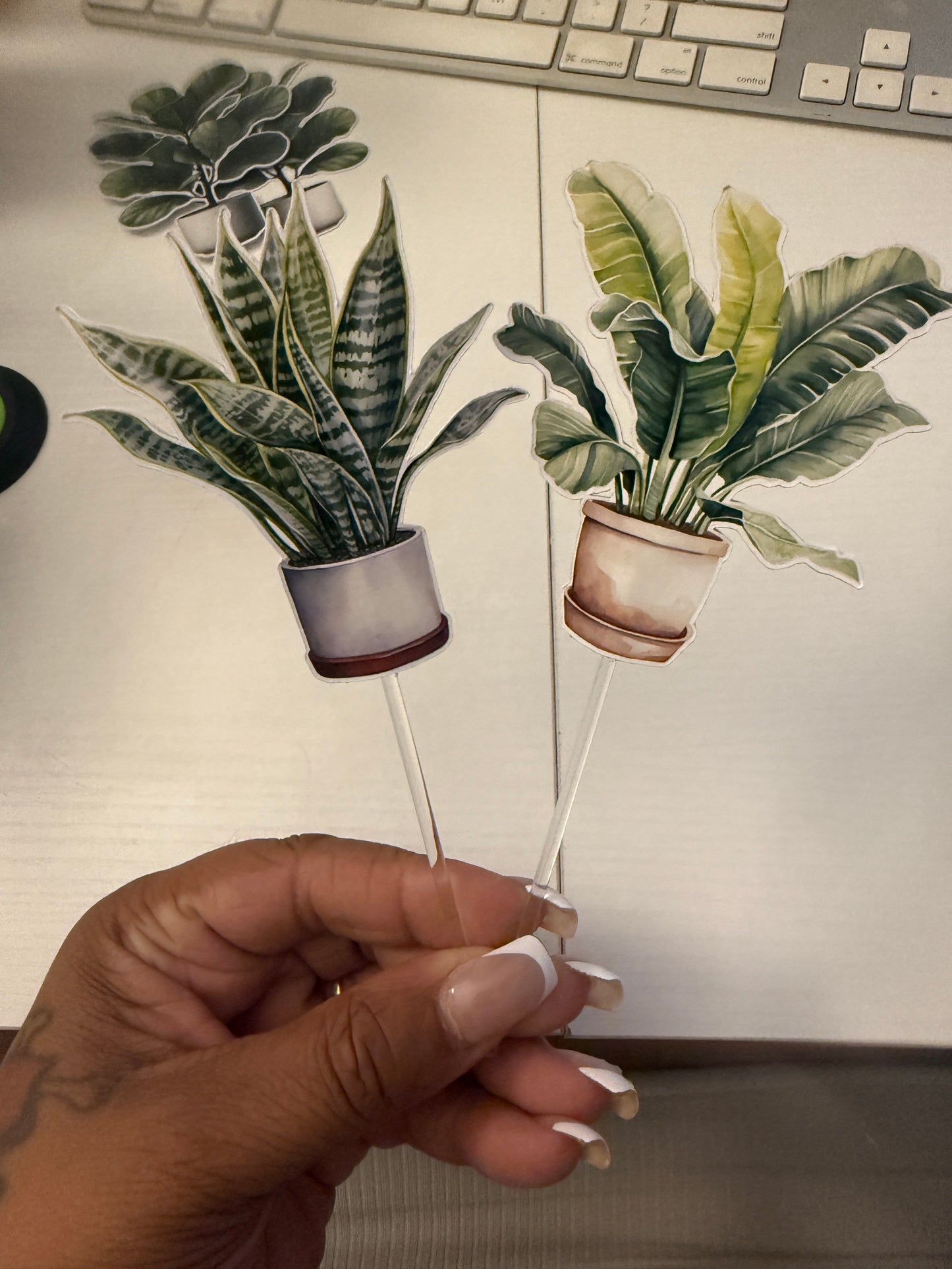 House Plants Cupcake Toppers