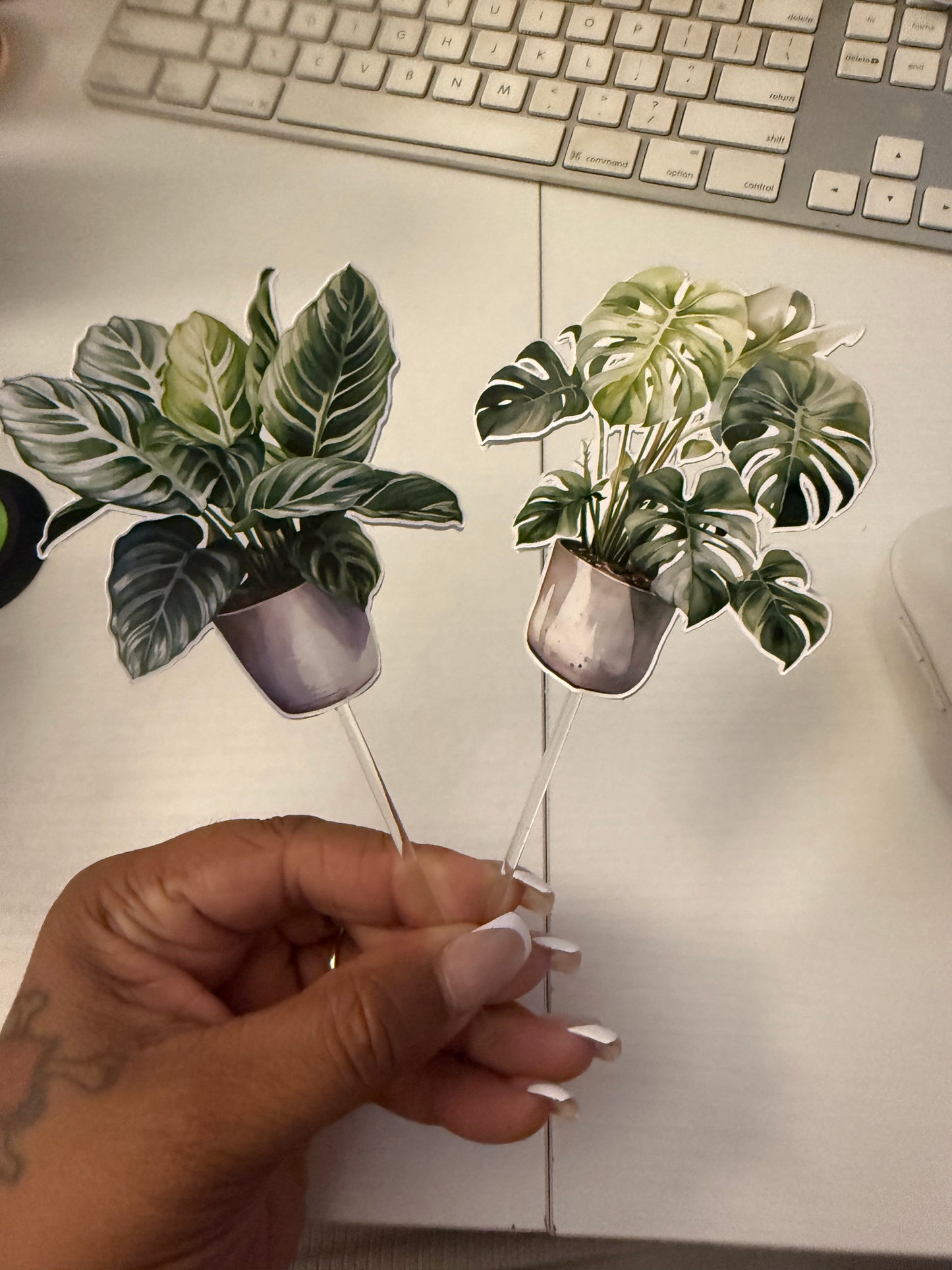 House Plants Cupcake Toppers