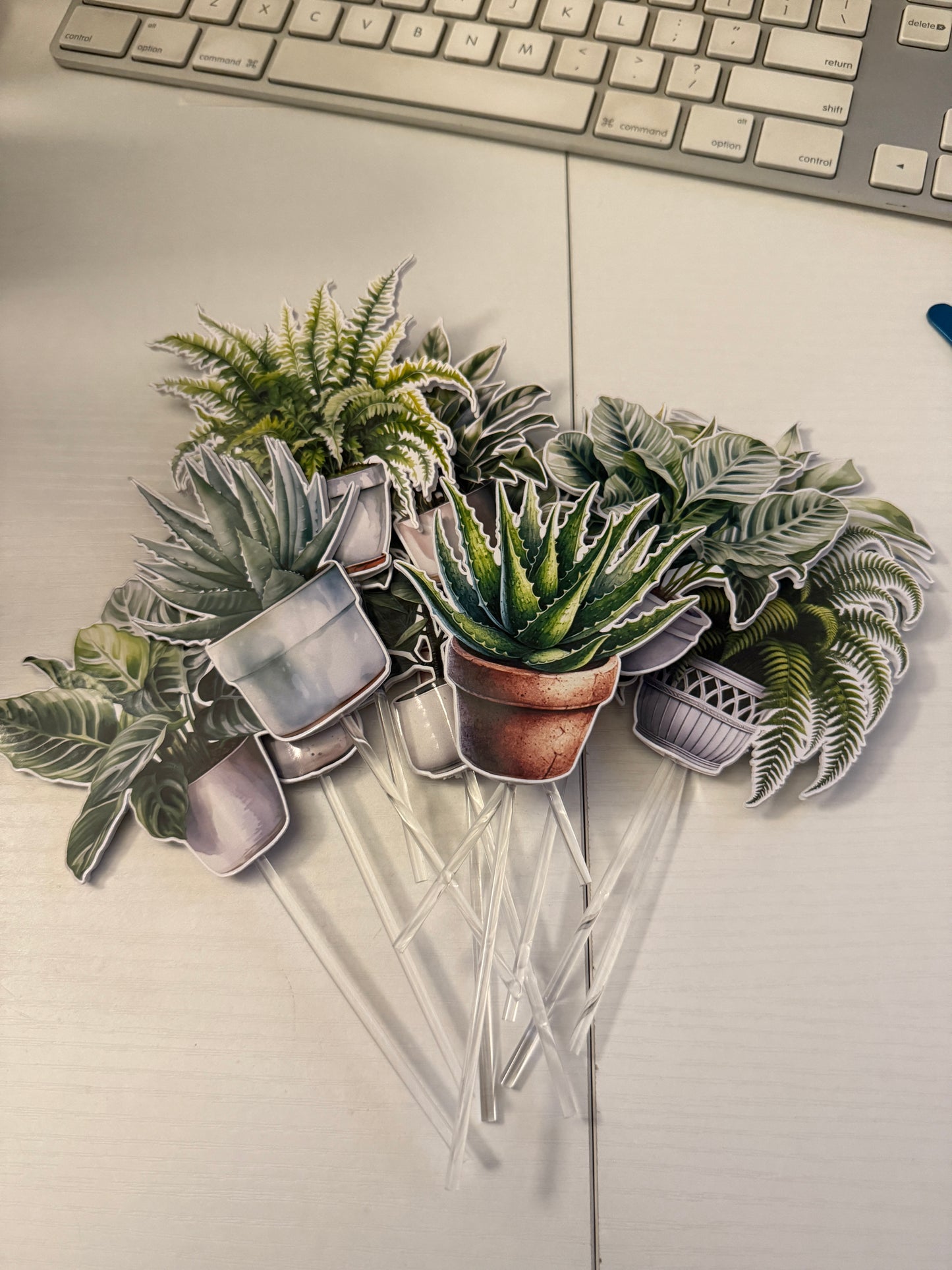 House Plants Cupcake Toppers