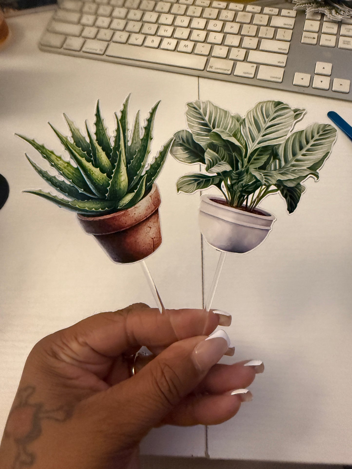 House Plants Cupcake Toppers